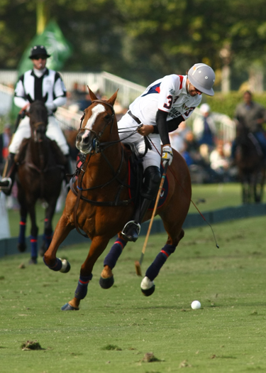 Final C.V.Whitney Cup 6