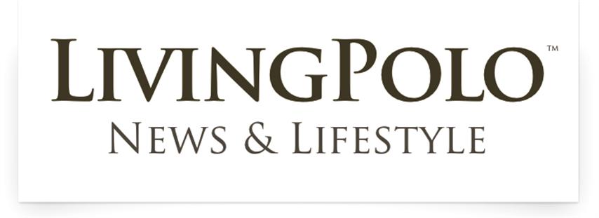 Media LP.com Logo 2013 w shadow