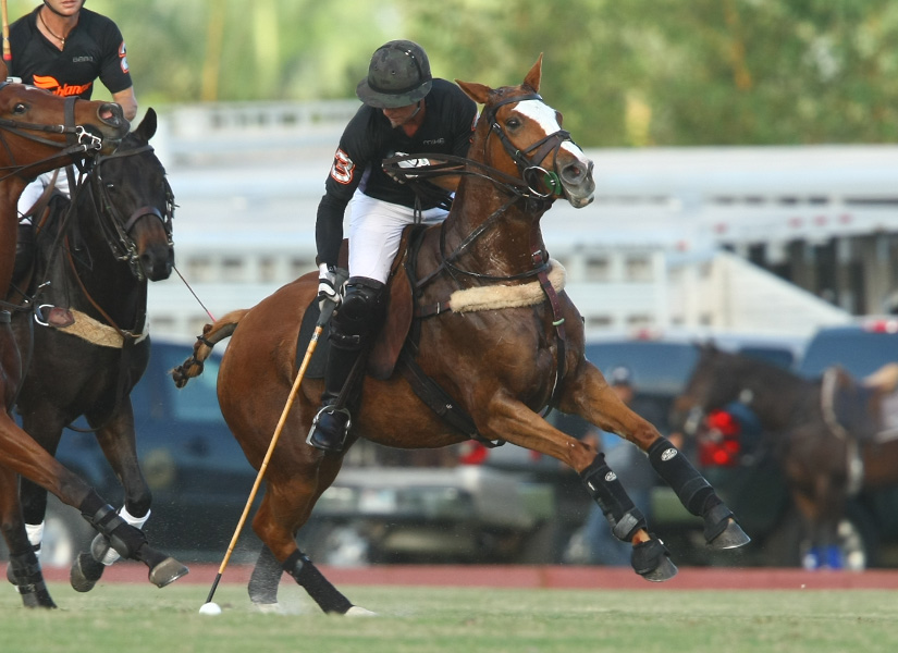 USPA National 20goalPalm Beach EquineCasablanca Photos by Alex Pacheco 7