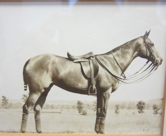 Fuss Budget best photo