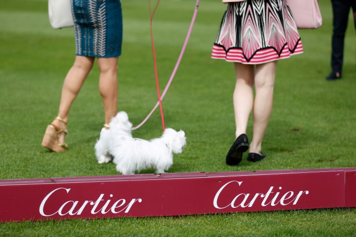 646376091JO106 Cartier Quee