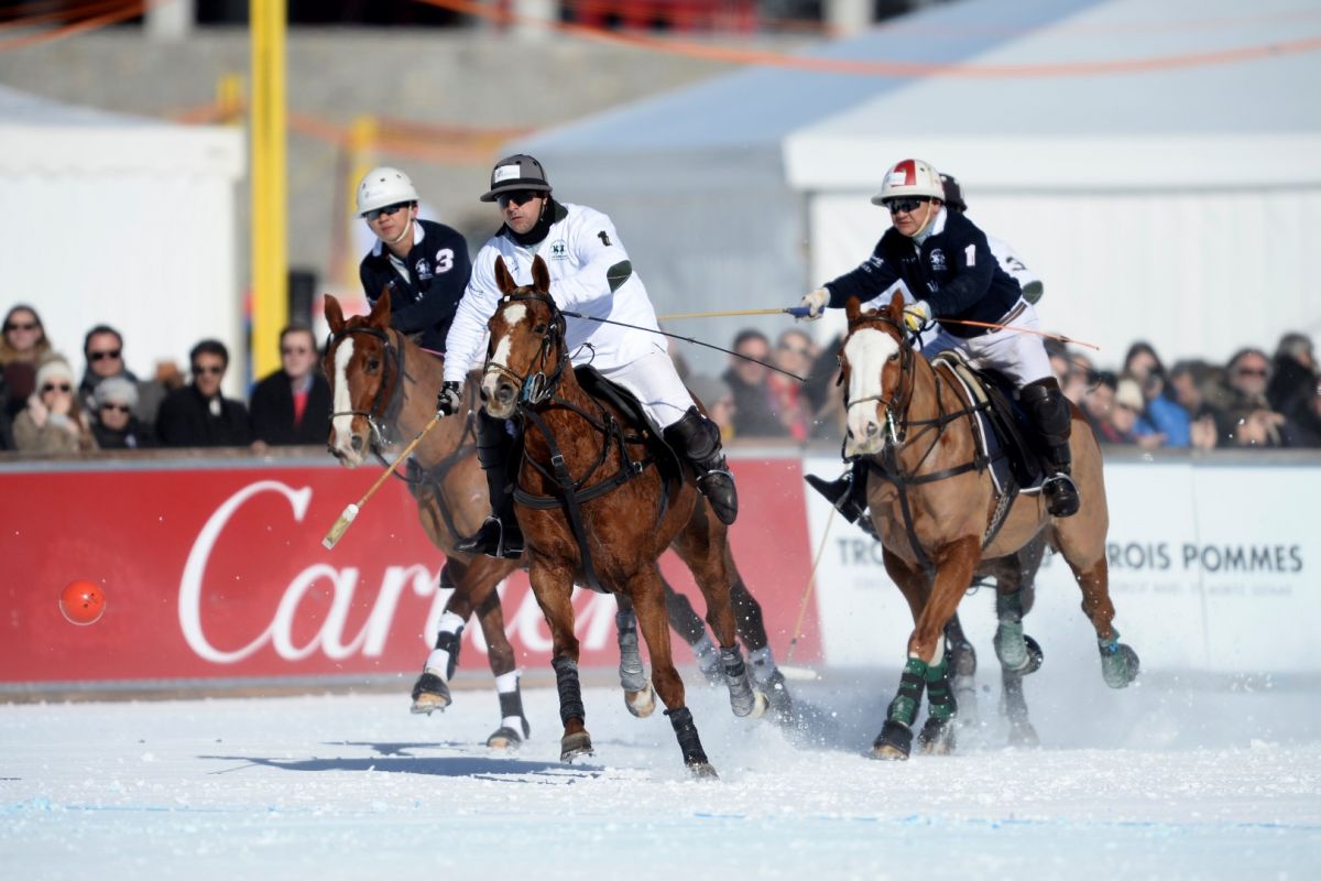 29 01 17-0351 31747639984 o