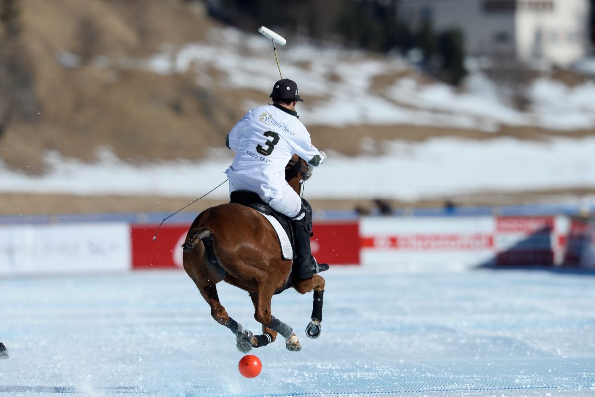 29 01 17-0385 32438453812 o