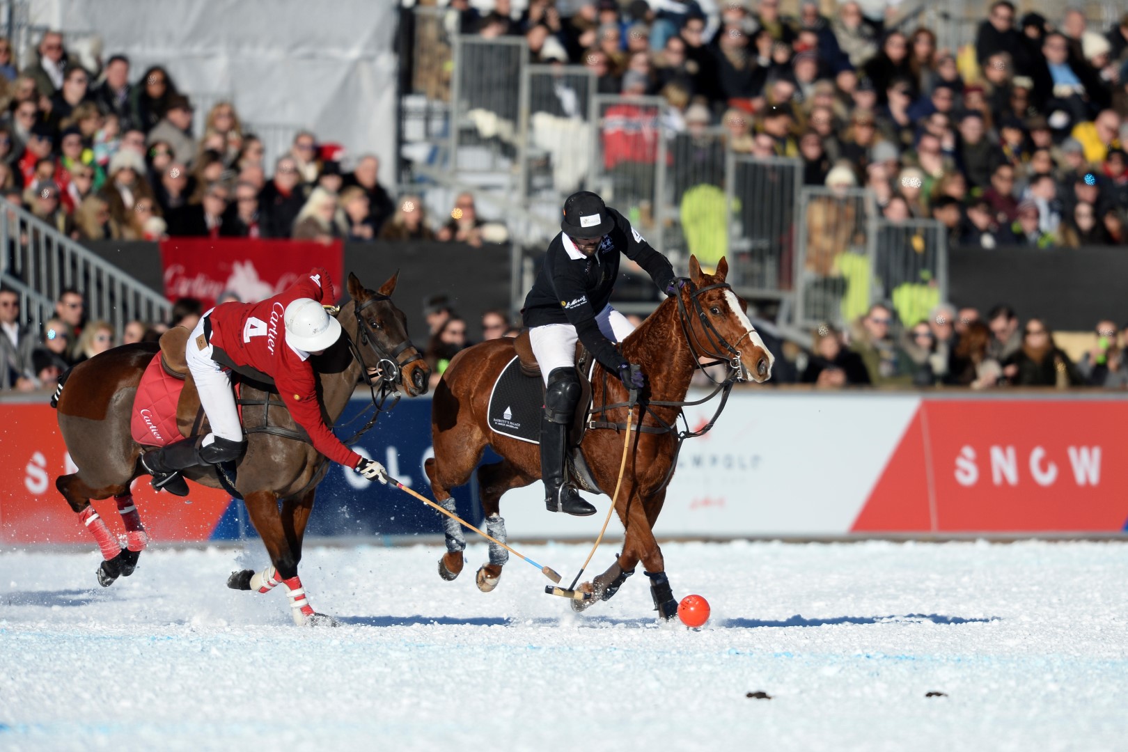 29 01 17-0951 32438609942 o