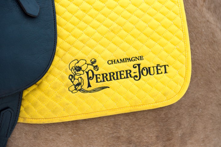 polo-world-cup-on-snow-stmoritz-2016 24615618832 o