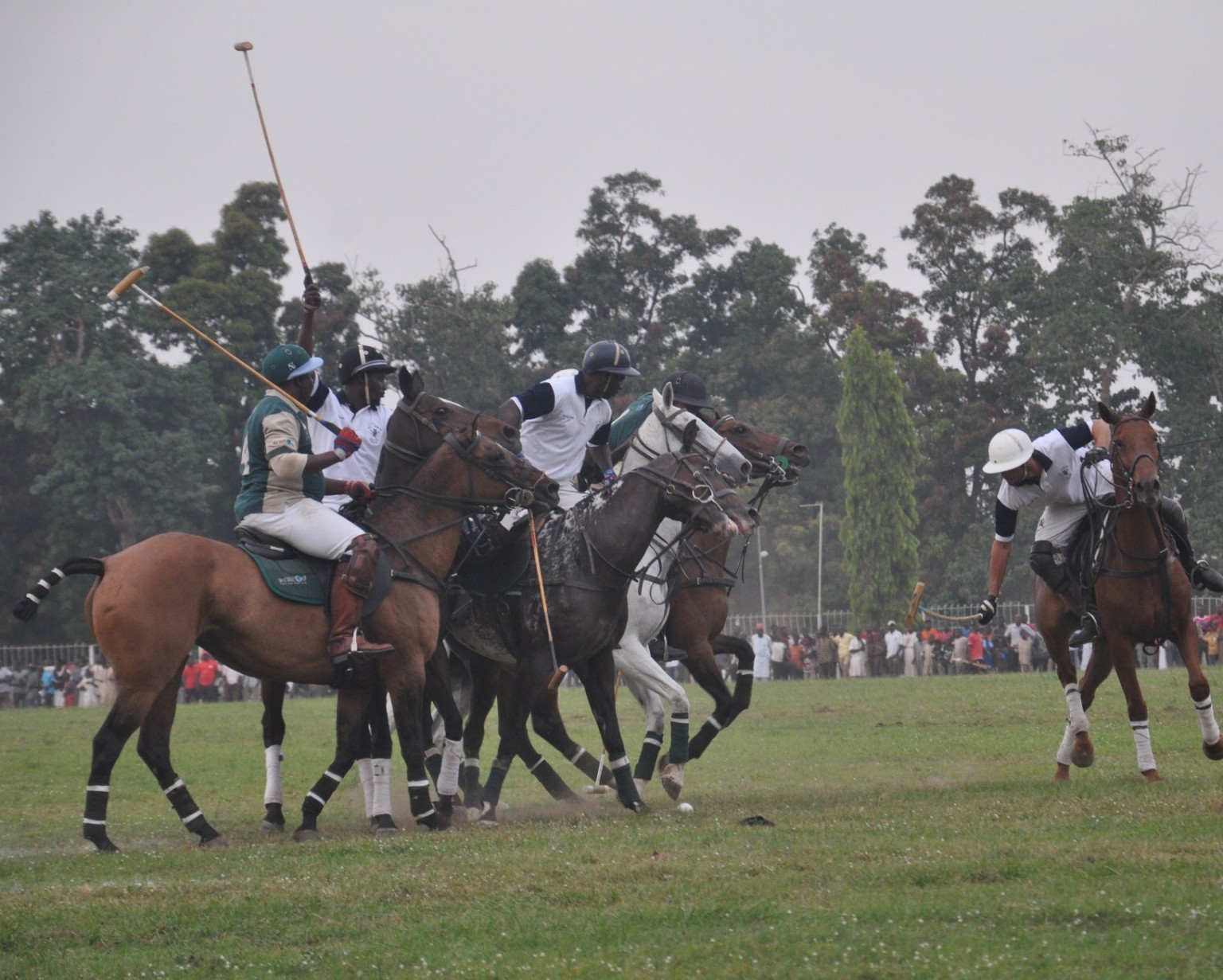 Polo-Africa