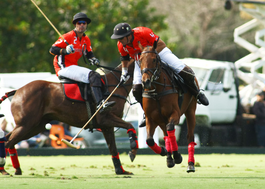 alex pacheco polo photos polo magazine lechuza orchard hill us open polo florida 1