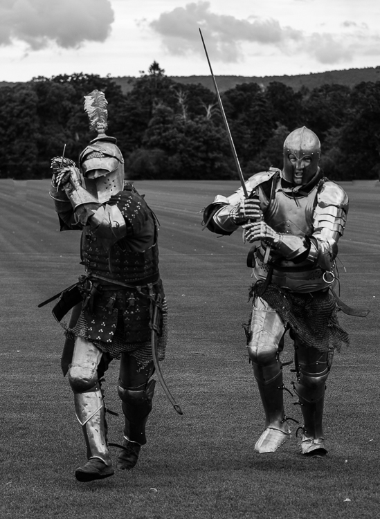 Cowdray Park Polo Club Up Security!!