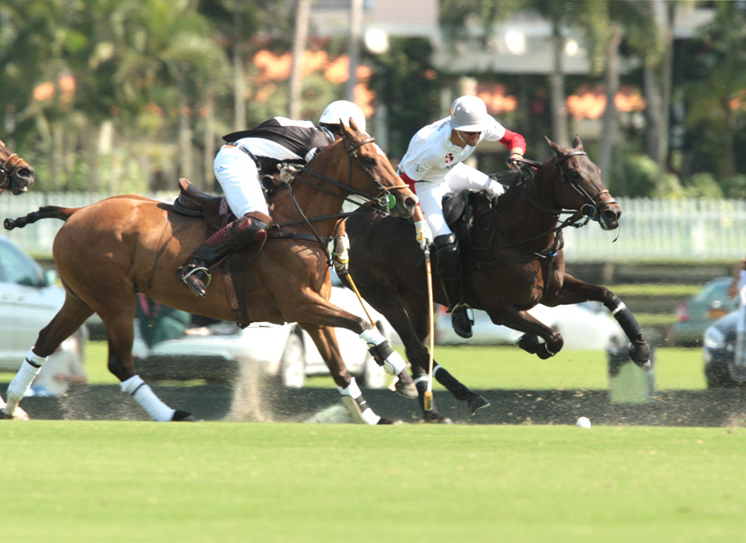 photospolomagazinevilladellagoflightoptions 3